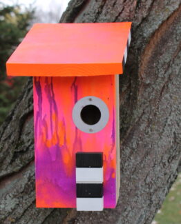 Santa Cruz Cab